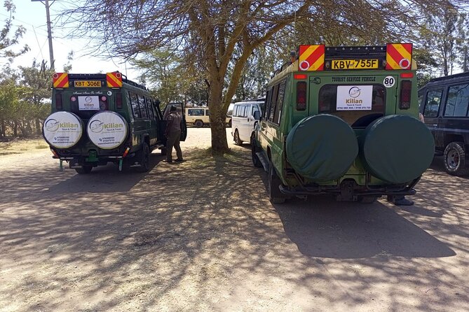 3 Days Maasai Mara Private Safari - Day 3: a morning game drive, then back to Nairobi