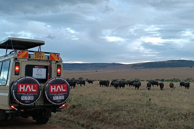3 Days Maasai Mara Private Safari - Camp and timing: why the non-safari parts matter