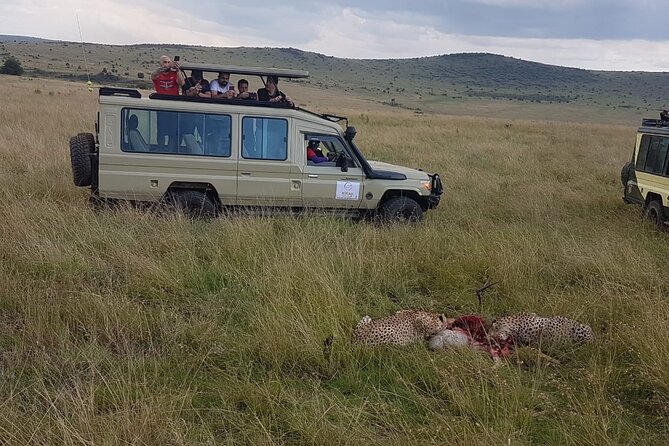 3 Days Maasai Mara Private Safari - Price and value: what $1,000 buys you in the real world