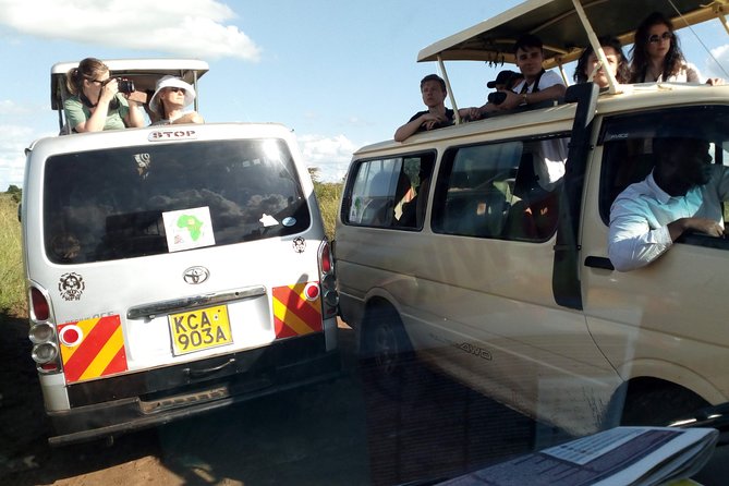 3 days Maasai Mara safari from Nairobi - Day 2: Big Five country, packed lunch by the Mara River, and long viewing time