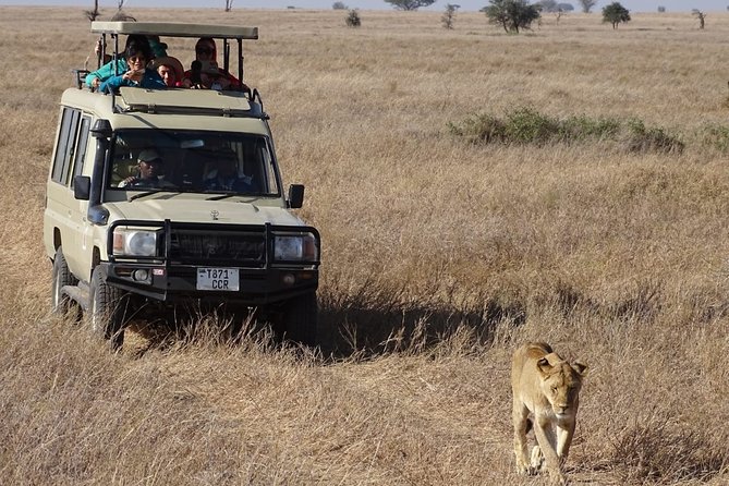 3 Days Maasai Mara Small Group Safari in a 4 x4 Land Cruiser Jeep - Key highlights to know before you go