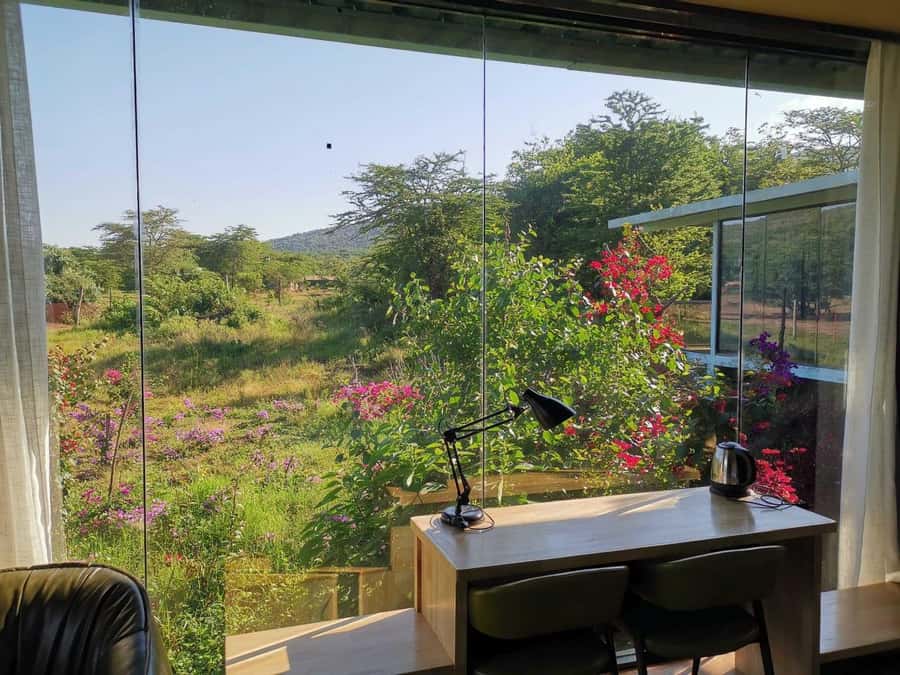 3 Days Maasai Mara Small Group Safari- Jambo Mara Lodge - Price and Logistics, Is $570 Good Value?