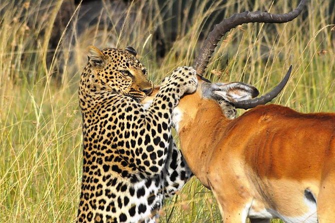 3-Days Masai Mara 4 x 4 Safari from Nairobi - Price and logistics: what you’re really paying for, and what that saves you