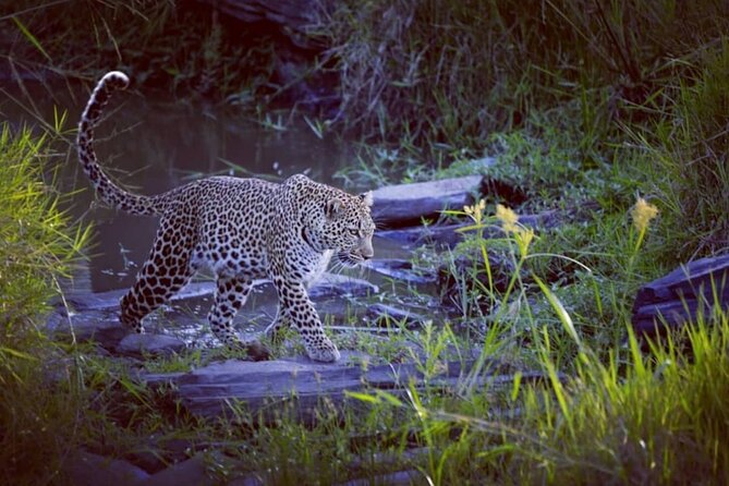 3-Days Masai Mara 4 x 4 Safari from Nairobi - FAQ