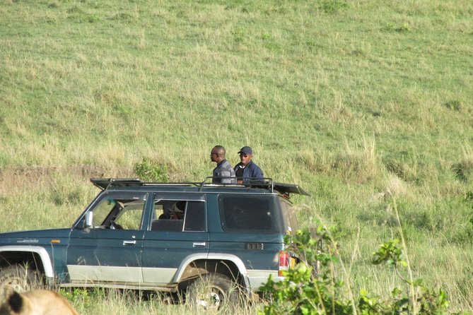 3 days Masai Mara - Meals included: how it helps you enjoy the safari