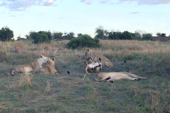 3 days Masai Mara - Practical tips to get the most from your Masai Mara days