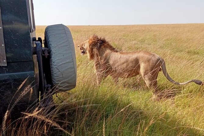 3 Days Masai Mara Budget Cruiser Shared Safari & Maasai Village - From Nairobi to Maasai Mara, with a Rift Valley pit stop