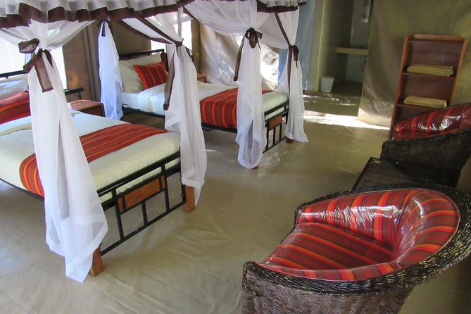 3 Days Masai Mara Budget Safari - Key highlights you should care about