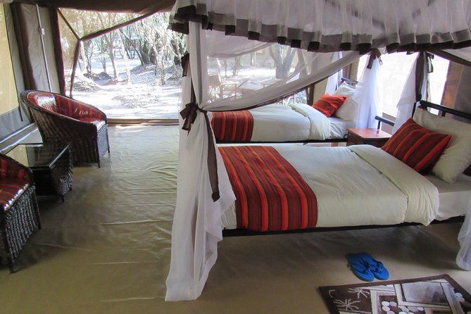 3 Days Masai Mara Budget Safari - Day 1 game drive plan: Rift Valley views, Narok stop, and Big Five in the afternoon