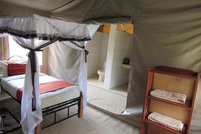 3 Days Masai Mara Budget Safari - Day 2 full-day game viewing: packed lunch, picnic style, and birding targets