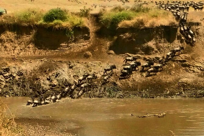 3 Days Masai Mara Budget safari Meals and accommodation included - Day 3: Masai Village Option And Back To Nairobi By 15:30