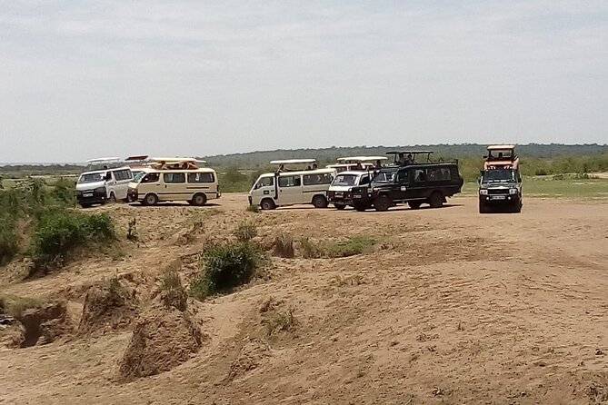 3 Days Masai Mara Budget safari Meals and accommodation included - Meals And Accommodation: Included Comfort That Fits A Budget