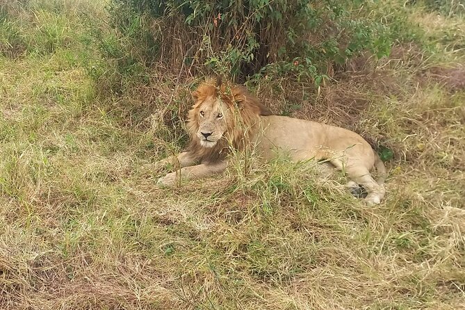 3 Days Masai Mara Experience - Who should book this safari, and who might want a different option