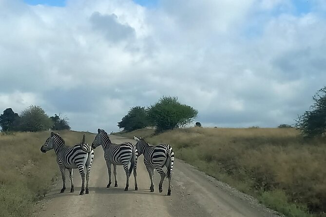 3 Days Masai Mara Experience - Should you book the 3 Days Masai Mara Experience?
