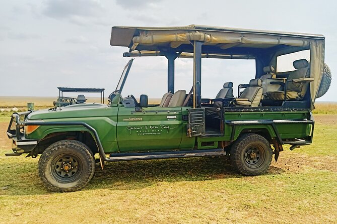 3 Days Masai Mara Flight Safari - Day 1: arrival, check-in, and a late-afternoon Mara game drive