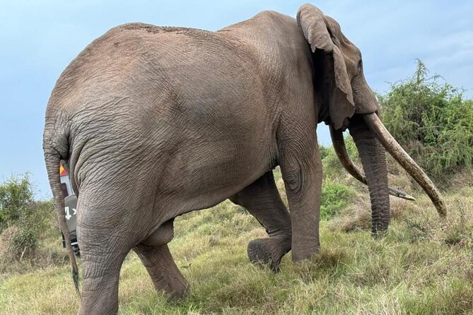3 Days Masai Mara Group Budget safari in 4x4 Jeep Daily Tour - Key Things That Make This Safari a Solid Budget Choice