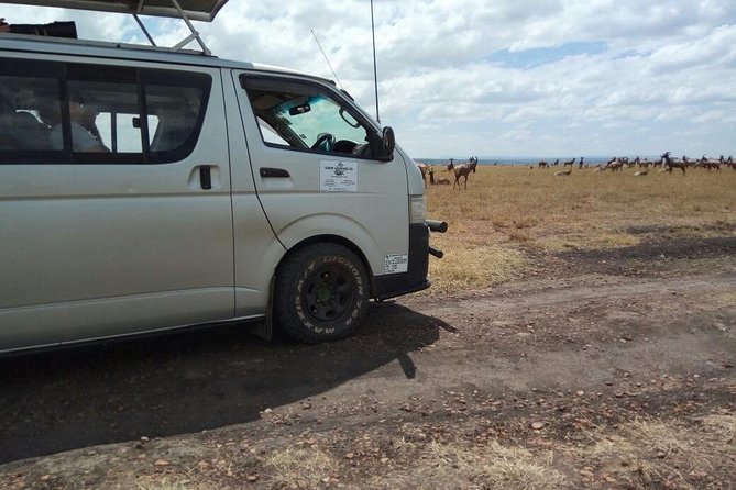 3 Days Masai Mara Joining Safari (lenchada) - Day 3: camp time, Narok Town markets, then back to Nairobi