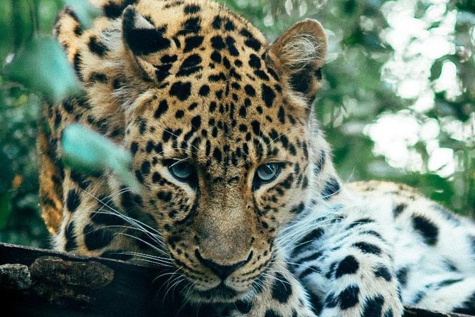 3 Days Masai Mara Joining Tour - What you’re really paying for: the value logic behind the $750 price