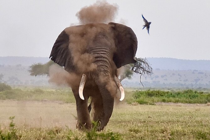 3 Days Masai Mara Luxury Safari - Nairobi to the Mara: Rift Valley views and Narok timing