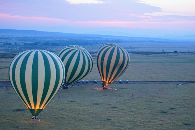 3 Days Masai Mara National Reserve Safari - Mara River stop: hippos, crocodiles, and why timing matters