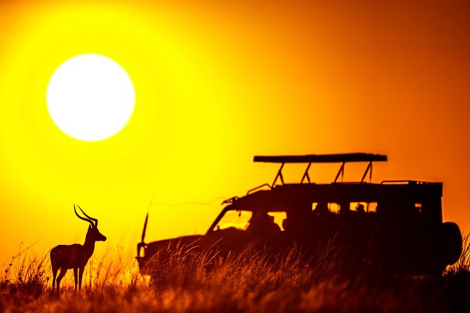 3 days Masai Mara on Private 4x4 Land Cruiser - What’s included, and why it adds up to value