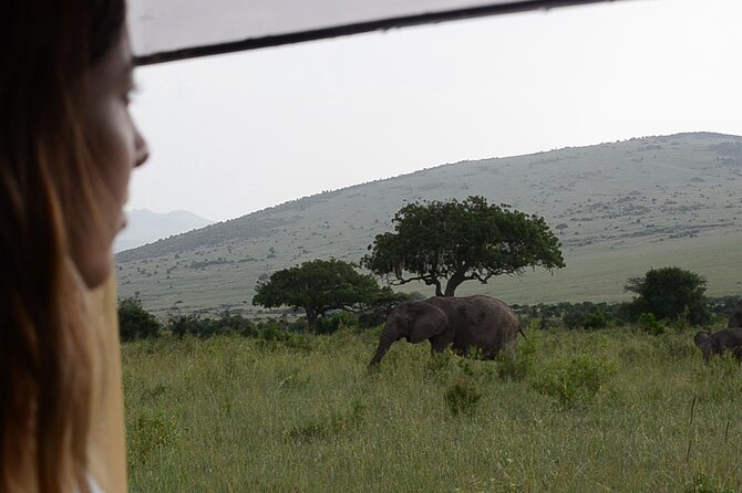 3 days Masai Mara on Private 4x4 Land Cruiser - Price and what you’re really paying for