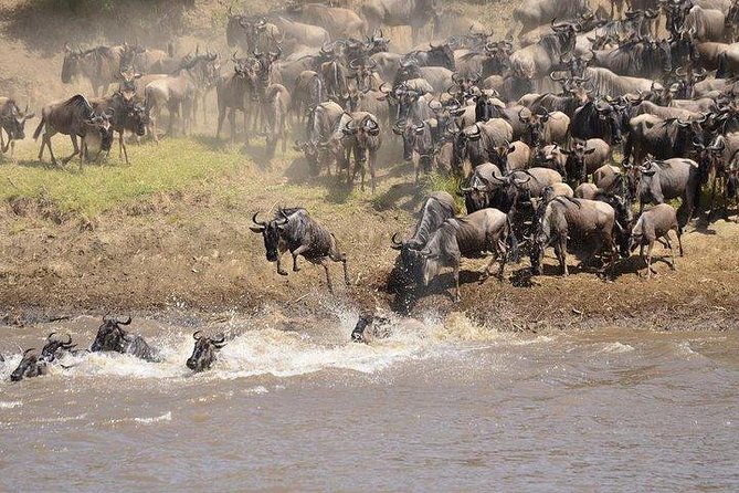 3 Days Masai Mara Private Safari at Sopa Lodge from Nairobi - Day 3: drive back to Nairobi, plus an Ololaimutiek culture stop
