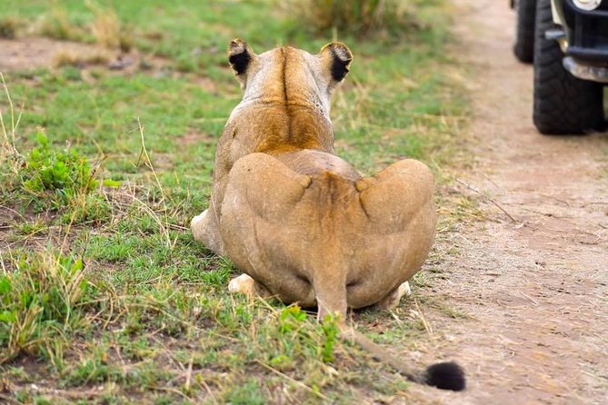 3 Days Masai Mara Safari - Price and value check, what $400 covers and what to budget