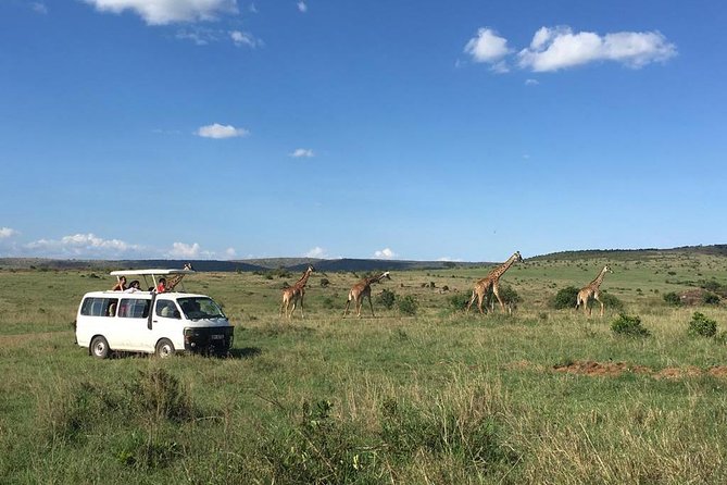 3 Days Masai Mara - Nairobi to the Great Rift Valley escarpment: day one travel made easier