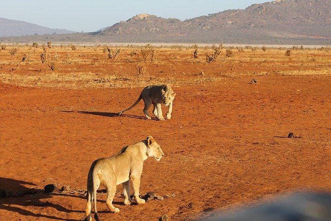 3 days Red elephant safari - Key things that make this safari worth your time