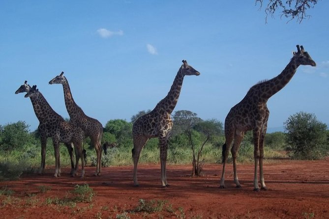 3 days Red elephant safari - Price check: what $980 per person really covers