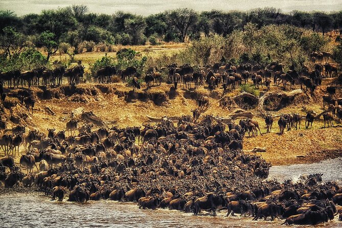 3 Days Safari Tour in Maasai Mara - What to Pack for a Maasai Mara Safari You Actually Enjoy