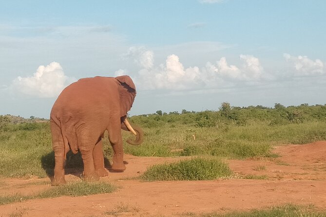 3 Days safari Tsavo East and Amboseli national park. - Value and price: what $1,000 per person gets you, and what you should budget
