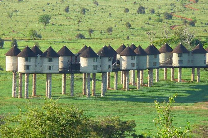 3 days safari Tsavo East and Taita hills (Saltlick lodge) - Key things I’d plan around