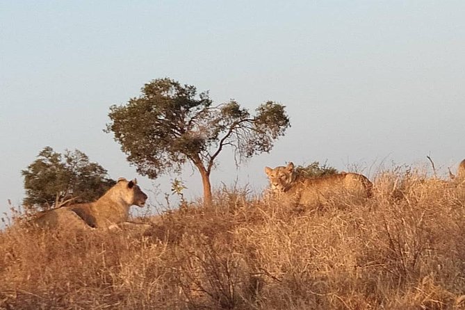 3 days safari Tsavo East and West - Why private minibus or jeep time is the real value driver