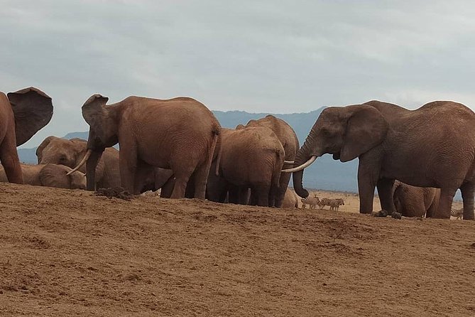 3 days safari Tsavo East and West - Lodges, downtime, and the check-in rhythm that keeps you sane