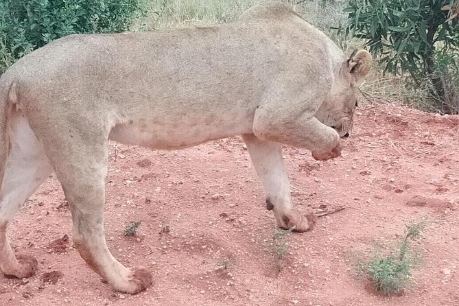 3 days safari Tsavo East and West - Price and value: what you are paying for in a 3-day private Tsavo safari