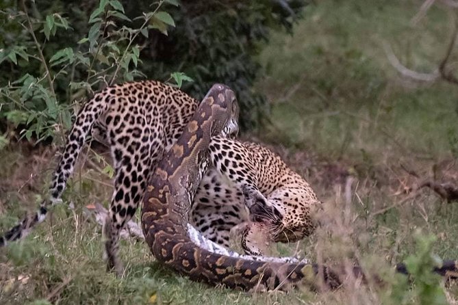 3 Days to Maasai Mara N/R. - Key things to know before your Maasai Mara N/R safari