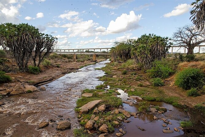 3 Days Tsavo East & Amboseli (2 Nights) - Who This Safari Suits Best (And Who Might Want Something Different)