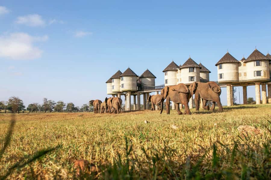 3 days Tsavo East and Saltlick safari from Diani/Mombasa - Lion Hills or Voi lodges: buffet meals, a short rest, and a sunset hunt
