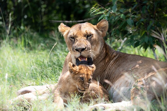 3 Days Tsavo East & Tsavo West Safari - Key highlights worth caring about