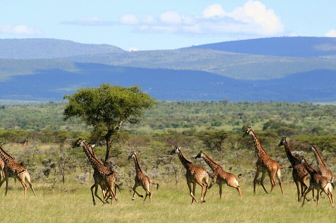3 Days Unforgettable Masai Mara Safari Tour - Leaving Nairobi for the Great Rift Valley Ride