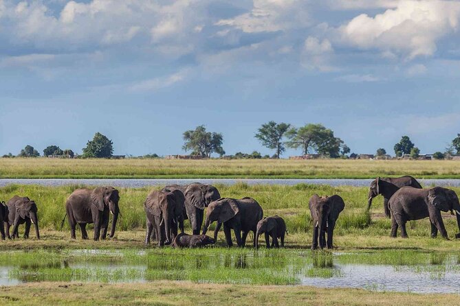3 Days Unforgettable Masai Mara Safari Tour - Day 1: Arrival, Check-in at Lenchada Tented Camp, and Sundowners