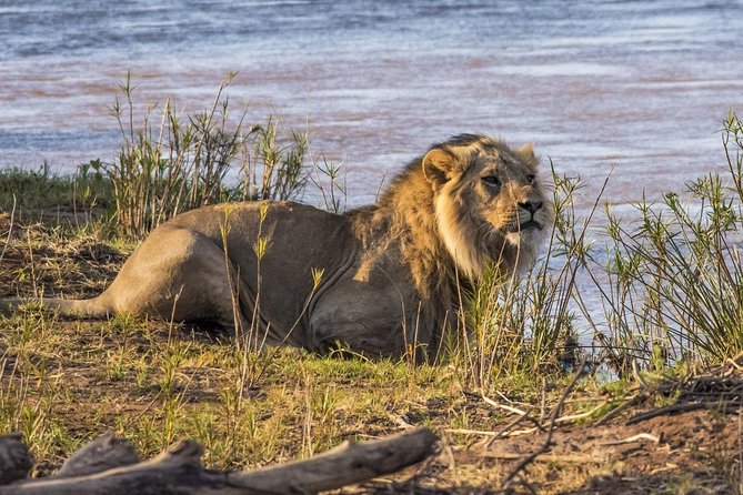 3 nights exclusive Masai Mara safari - Price and value: $1,850 per person with real inclusions