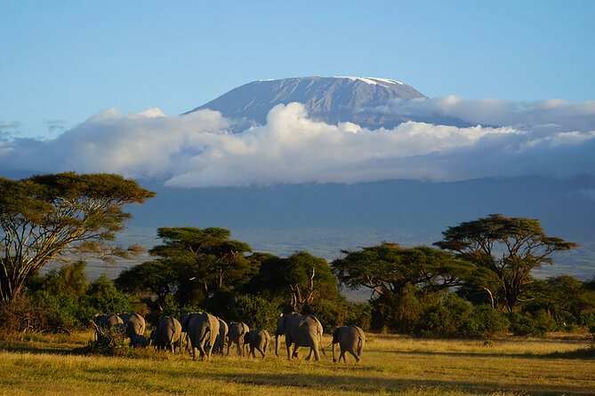 3day Amboseli Park Private safari - Day 2: Observation Hill and a longer push for elephants, lions, and birds