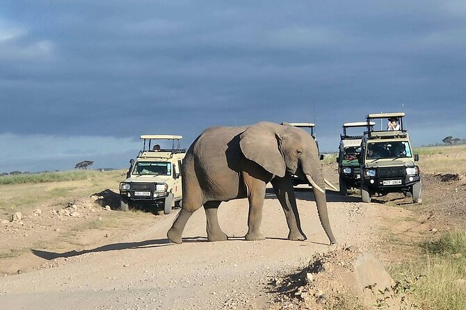 3day Amboseli Park Private safari - Lodges, food, and what is included without surprises