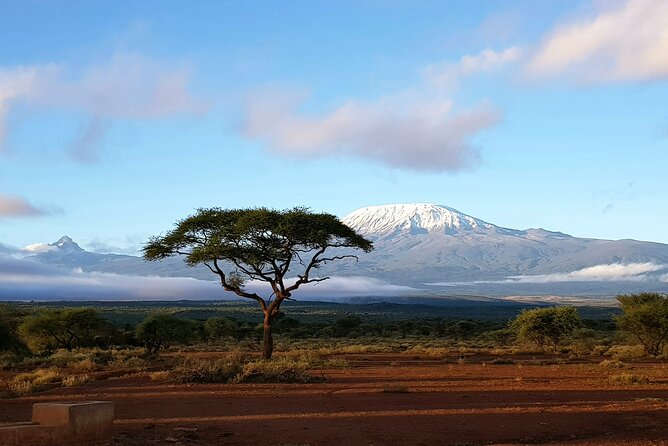 3day Amboseli Park Private safari - Day 1: Nairobi pickup, arrival in Amboseli, and your first golden-hour drive