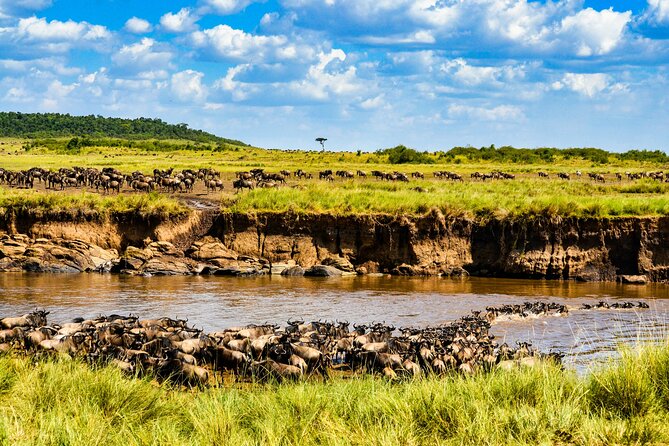 3days/2nights group joining Masai Mara with Masai Village Visit - From Nairobi to the Mara, with a pop-up roof