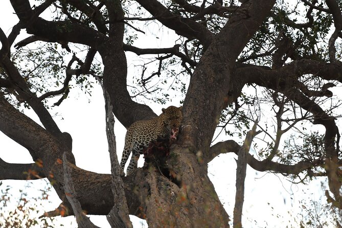 3days/2nights group joining Masai Mara with Masai Village Visit - Day 3: Breakfast, Masai village visit, then back to Nairobi