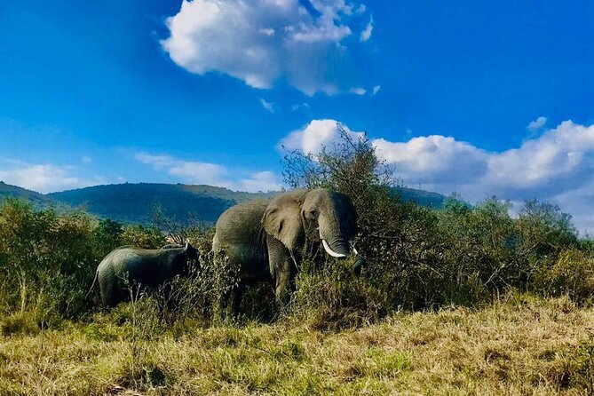 3days/2nights group joining Masai Mara with Masai Village Visit - Price and logistics: what the $256 actually buys